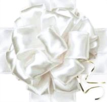 Columbia Missouri wedding videos, serving Boone county, Central Missouri, Roachport, Lake of the Ozarks, Jefferson City, St. Louis, the mid-west, and across the US